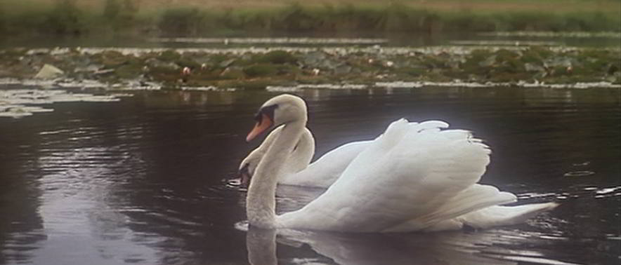 j38212b985ob2rtgvbec.jpg