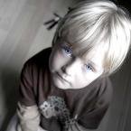 amir.d