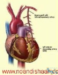 آموزش فیزیولوژی جانوری