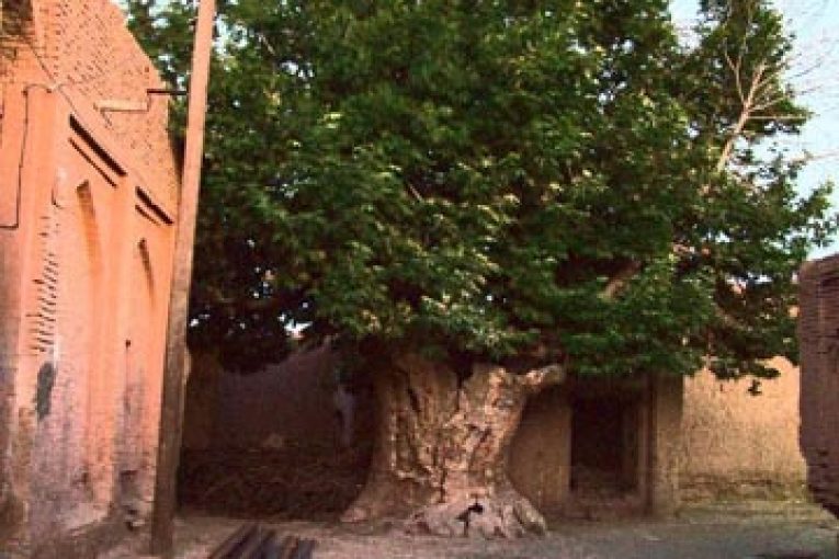 طرح جامع خواف