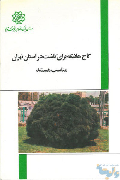 کتاب درختان کاج مناسب تهران