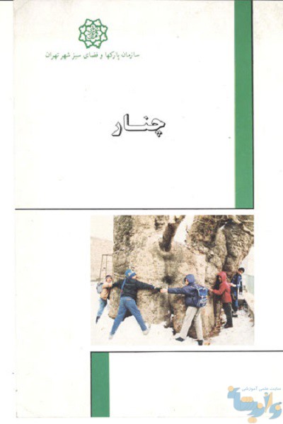 کتاب معرفی درخت چنار